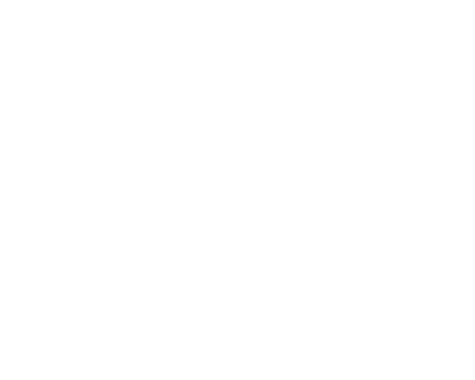 bnrhalf_works_cover